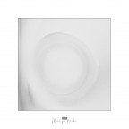 Linee e ombre IV Linee e ombre IV