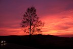 Alba a moncalvo...