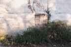st