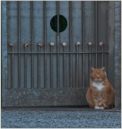 la casa delle lumache... la casa delle lumache...