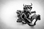 Il toro
