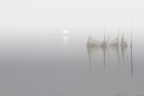 Nebbia nelle Valli di Comacchio Nebbia nelle Valli di Comacchio