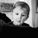 Meraviglia Meraviglia