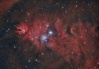 Le nebulose Cono e Albero di Natale (NGC2264), nella costellazione invernale dell'Unicorno.