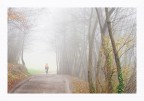 Ciclista nella nebbia Ciclista nella nebbia