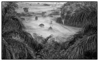 2001 Vinales ,storie di Campesinos e tabacco 2001 Vinales ,storie di Campesinos e tabacco