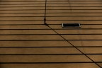 linee