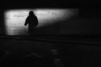 ...senza ombra di dubbio. Umano ...senza ombra di dubbio. Umano