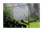 Quando fuori piove...