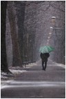 verso la fine del viale... verso la fine del viale...