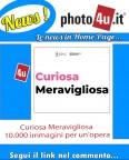 Curiosa Meravigliosa - 10.000 immagini per un'opera Curiosa Meravigliosa - 10.000 immagini per un'opera