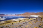 laguna Colorada laguna Colorada