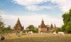 Tra i templi di Bagan Tra i templi di Bagan
