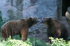 tra moglie e marito...
400 iso
f8
1/100s
180mm