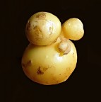 *** Fantasy Potato *** *** Fantasy Potato ***