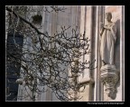 Particolare del duomo di Milano.
...Sembra quasi che la statua stia piangendo, pregando la pianta-bestia di non farle del male...