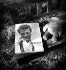 vita spericolata a meta') vita spericolata a meta')