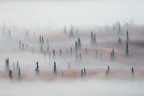 Siamo avvolti nella nebbia Siamo avvolti nella nebbia