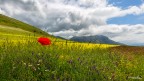 Castelluccio di Norcia