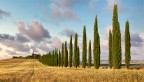 Toscana - Val D'orcia