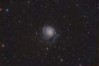 M101 - Galassia Girandola M101 - Galassia Girandola