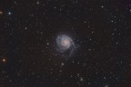 La galassia M101 nella costellazione dell'Orsa Maggiore.