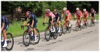 maglia rosa
