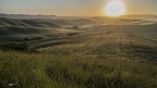 Le colline del Silenzio... Lajatico