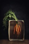 Carotene Carotene