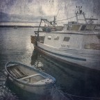 Mater semper certa est, pater numquam...... Mater semper certa est, pater numquam......