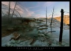 Mammoth Hot Springs (Yellowstone)