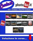 437 Contest: Free4U Contest - Votazione in corso