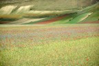 Castelluccio Castelluccio