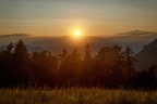 verso sera