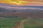 Alba Dorata..