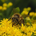 Work in progress Work in progress