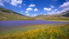 Castelluccio Castelluccio