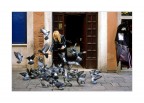 Venezia