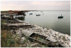 Sacca degli Scardovari