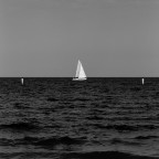 Vela bianca Vela bianca