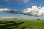 Campo , con le nuvole Campo , con le nuvole