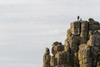Lands End 1/4