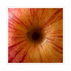 The black apple hole The black apple hole