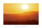 Cipressi all'alba Cipressi all'alba