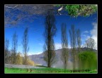 riflessi nel laghetto riflessi nel laghetto