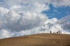 cipressi &amp; nuvole