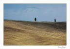 Gemelli sulle colline Gemelli sulle colline