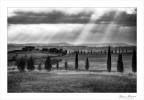 Bianco e Nero in Val D'Orcia