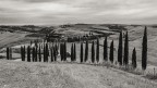 Il lungo percorso cipressato.. Il lungo percorso cipressato..