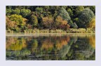 Autunno al lago